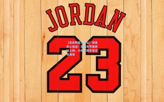 【竞彩网官方网址】球迷匠心独运！樊振东专属网站上线，小胖辉煌生涯全景展现