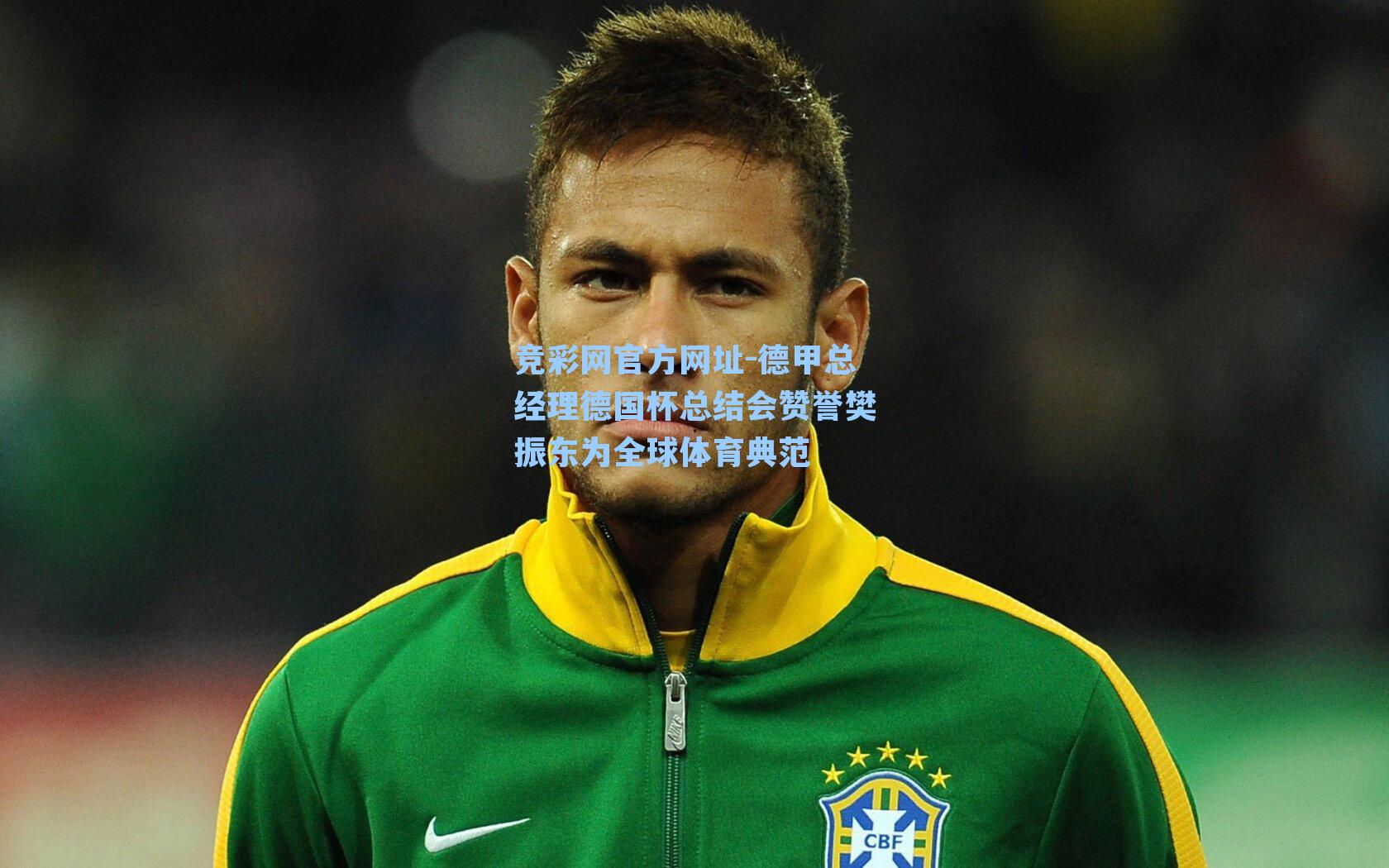 竞彩网官方网址-德甲总经理德国杯总结会赞誉樊振东为全球体育典范-第1张图片-竞彩网官网-权威赛事资讯平台-专业数据服务